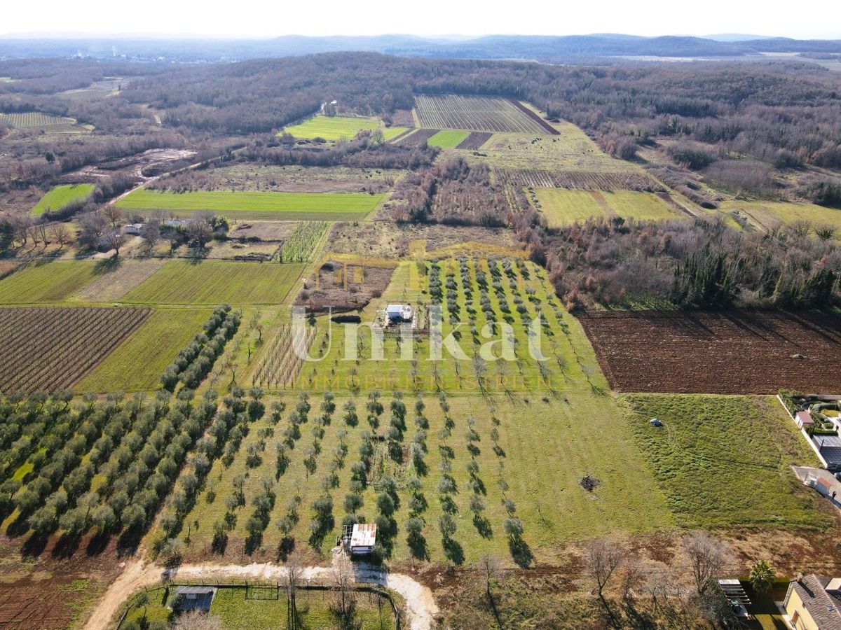 Ampio terreno edificabile a 8 km da Poreč
